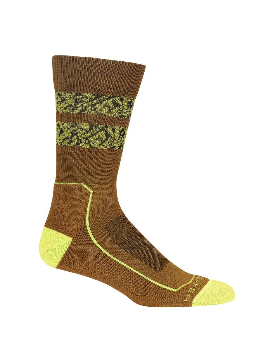 Clove / Shine Men's Icebreaker Merino Hike+ Light Crew Natural Summit Socks | USA 1007VRWD